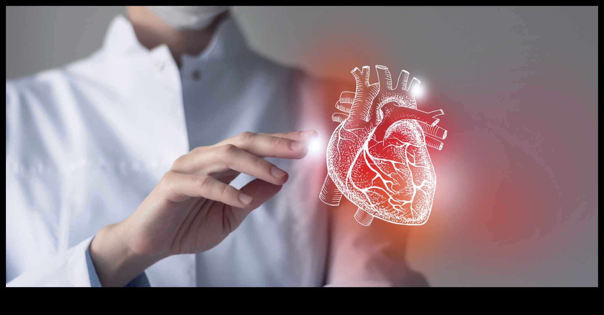 Sirds un asinsvadu brīnumi: sirds veselības noslēpumu atklāšana