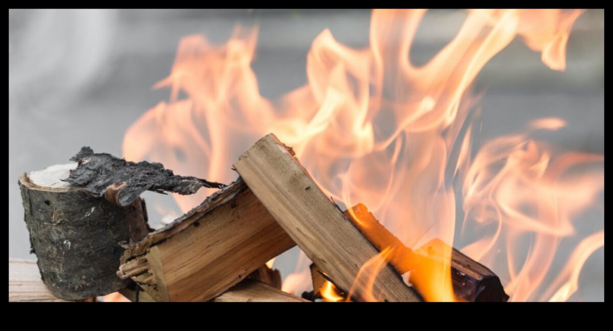 Malkas dedzināšanas māksla: amatniecība ar pirogrāfijas metodēm