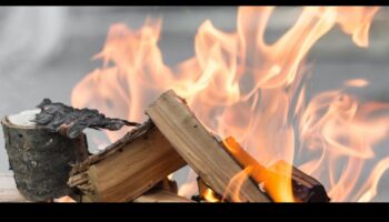 Malkas dedzināšanas māksla: amatniecība ar pirogrāfijas metodēm