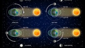 Kosmiskās plūdmaiņas: gravitācijas ietekme uz debesu okeāniem