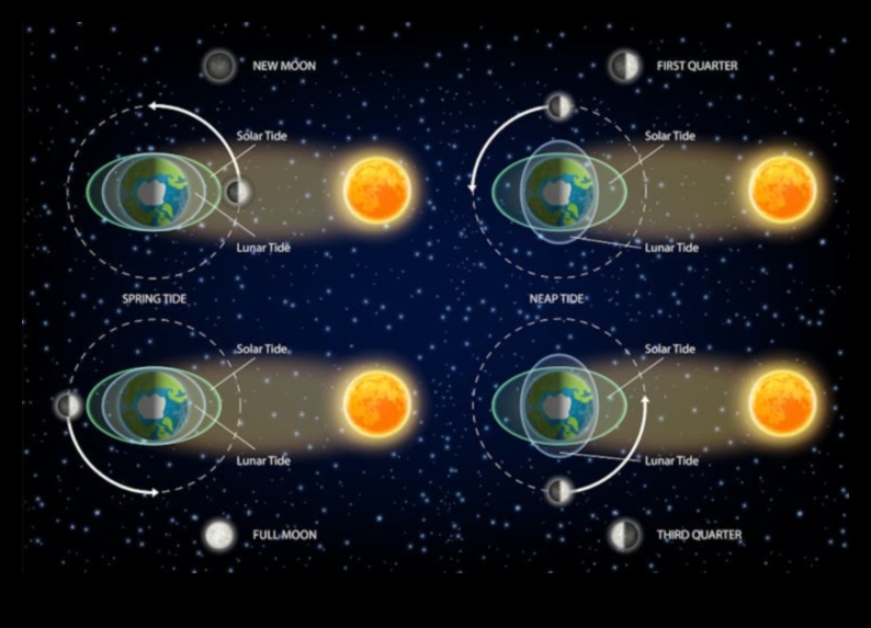 Kosmiskās plūdmaiņas: gravitācijas ietekme uz debesu okeāniem