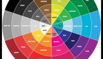 Krāsu psiholoģijas izpēte, izstrādājot dekorēšanas koncepcijas