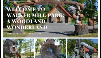 Meža brīnumzeme: āra treniņi burvīgos mežos