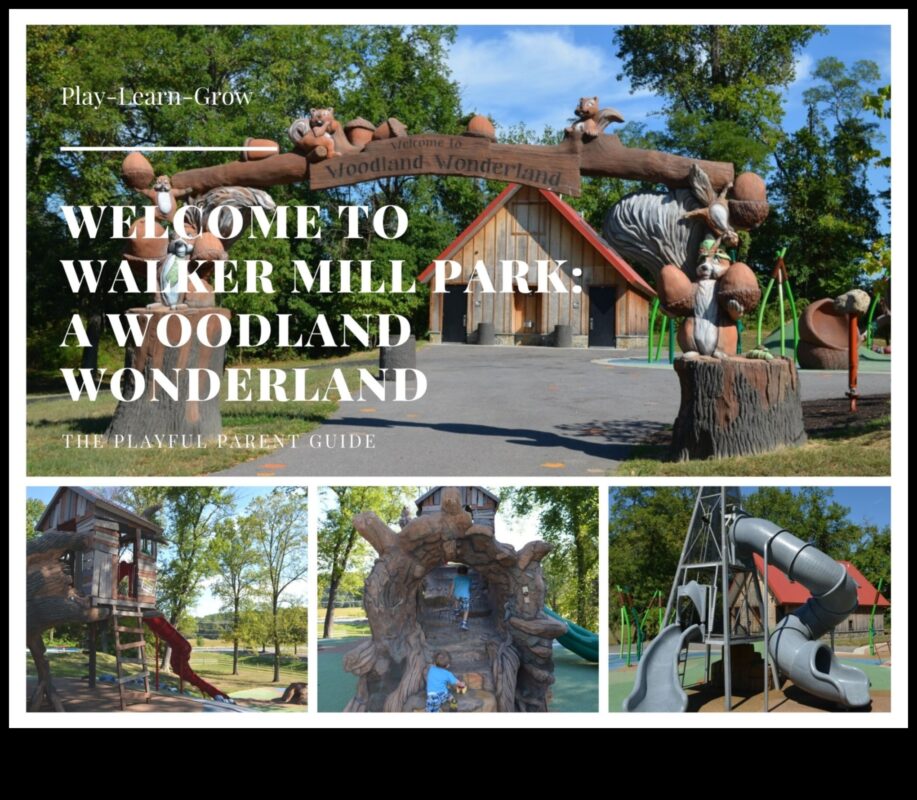 Meža brīnumzeme: āra treniņi burvīgos mežos