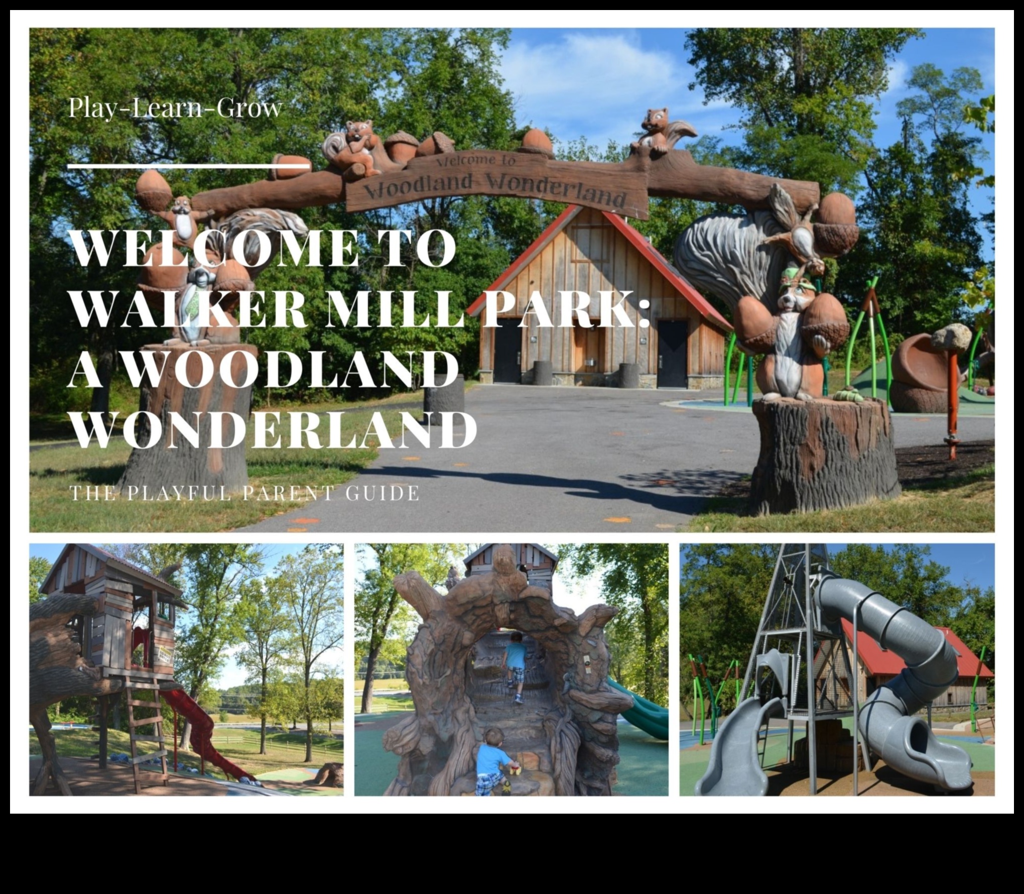 Meža brīnumzeme: āra treniņi burvīgos mežos